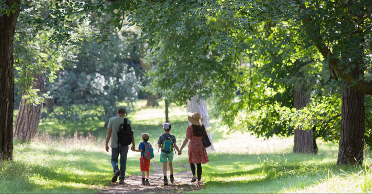 family walking hand in hand through lush green trees at Auckland Castle Deer Park